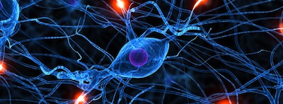 Neuropathy nerve cells.