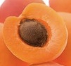 Apricot B17.